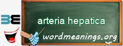 WordMeaning blackboard for arteria hepatica